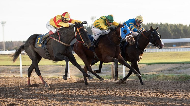 Galopp-premiär inför tomma läktare - men med internationell publik 