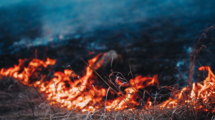 Gräsbrand. Foto: Mostphotos