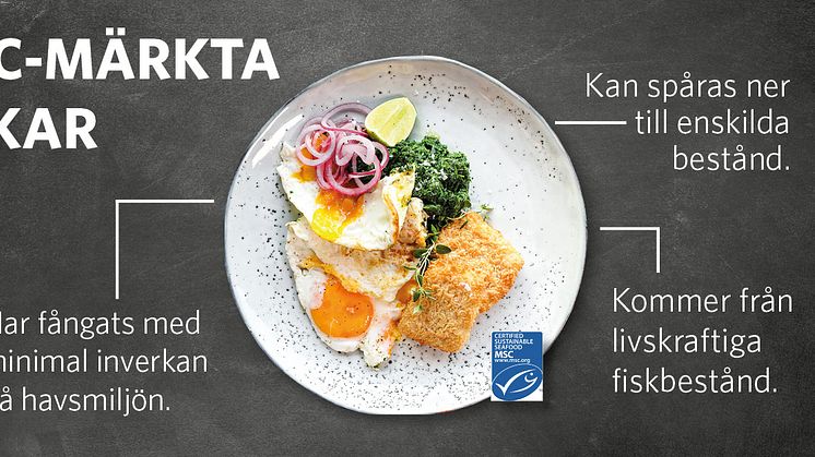 Eftersom vi på Findus också vill att det ska finnas fisk i haven i framtiden är vi med och stöttar MSC´s initiativ för att öka kunskapen om hållbart fiske.