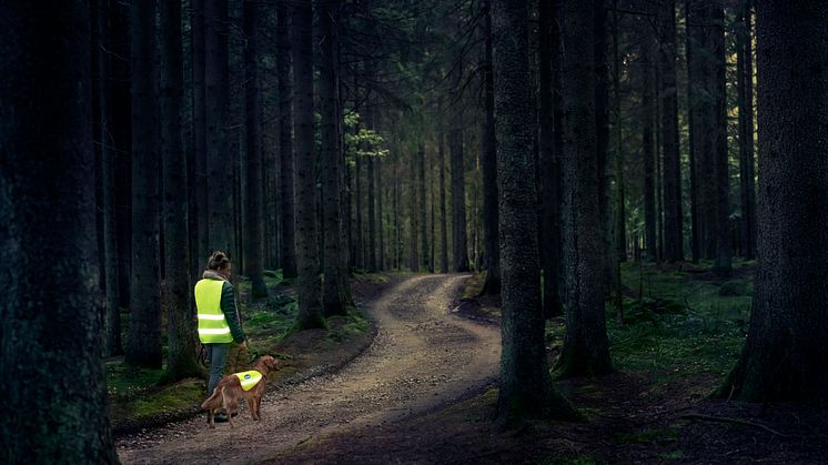 ​Doggy och Scholl går fint ihop!