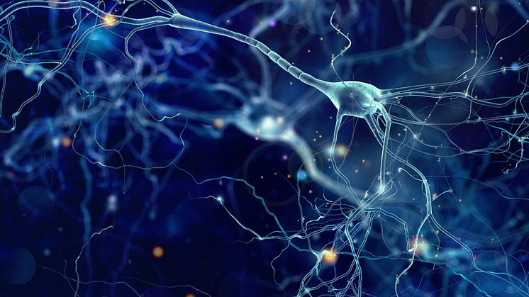 neurons-cells-concept-1_Large
