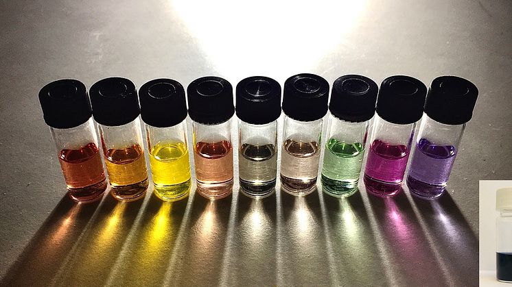 The polymer dots in the black solution (inset image) can absorb more light, and show better photocatalytic properties, than the single-component polymer dots in the coloured solutions. Photo: P-Cat