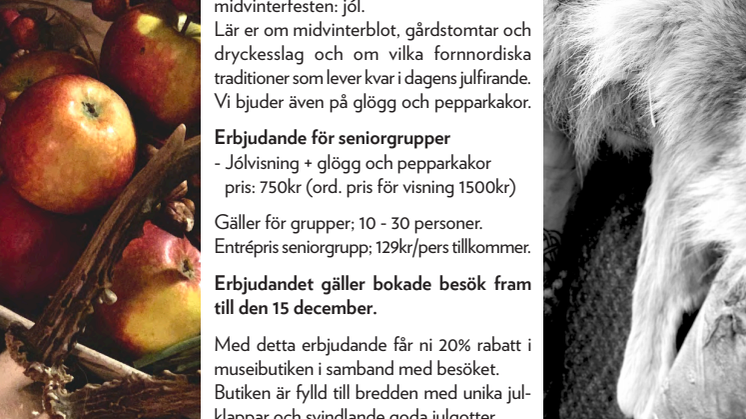 ERBJUDANDE - MIDVINTERJÓL