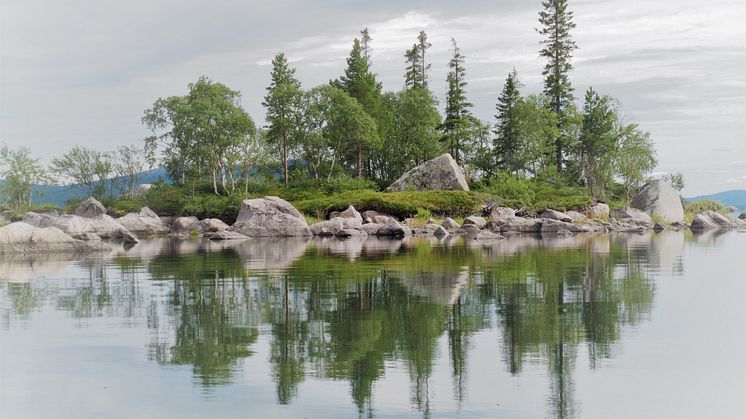 Minskad biologisk mångfald påverkar ekosystem olika