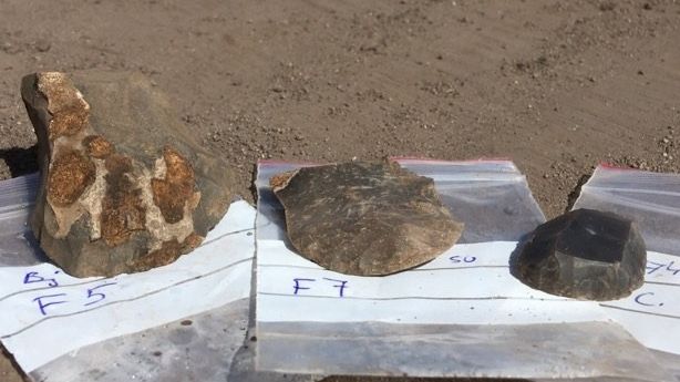 Flintskrapor som hittats vid Storegården i Björlanda. 