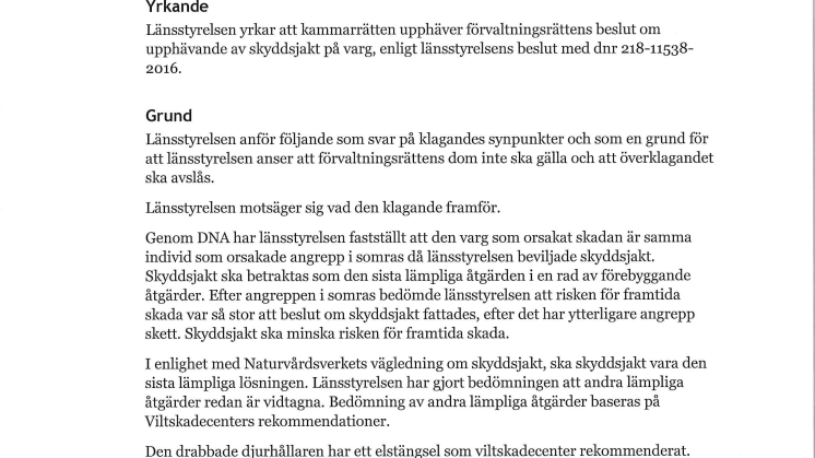 Förvaltningsrätten upphäver beslut om skyddsjakt på varg i Djura 