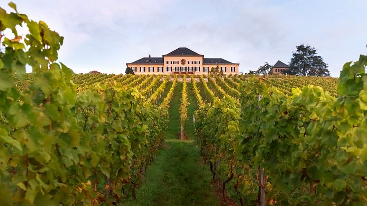 Exklusiv lansering i limiterad utgåva från Schloss Johannisberg