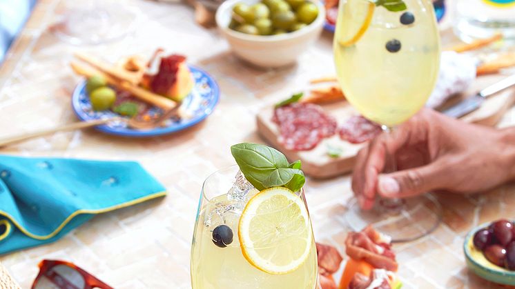 Malfy Con Limone Gintonica 
