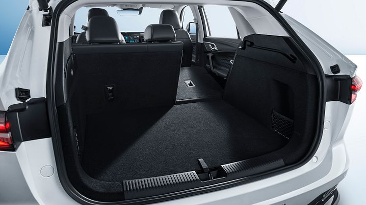 Trunk-3.jpg
