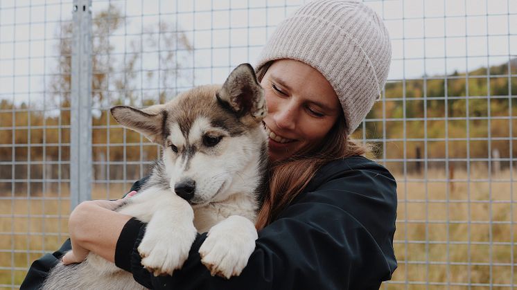 Henriette Danielsen_Mynewsdesk_Pirate Husky81AB9CE4-4F64-48A2-9941-E354F072DEBC