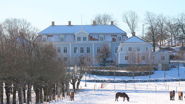 Tofta vinter hästar 2