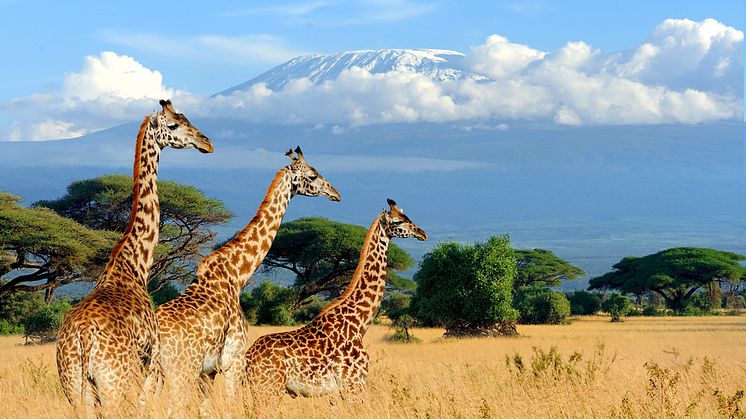 Catch up on the main nature policy news from this past month