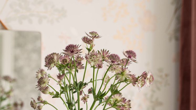 BT_inBloom_7231_PrarieRose_detalj_3_LR