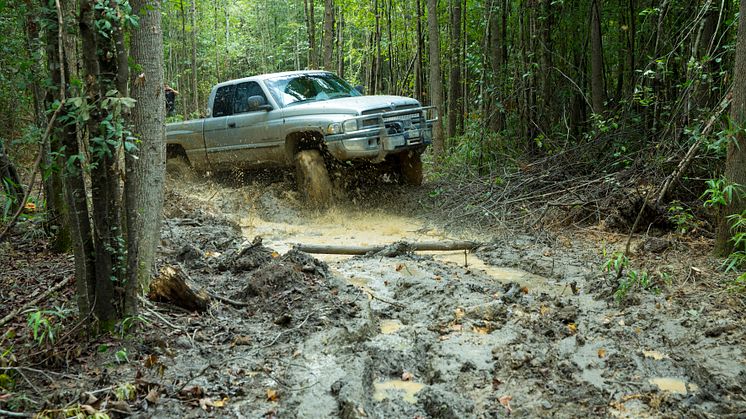 Truck Night in America