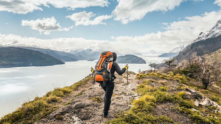 rear-view-of-female-hiker-hiking-alongside-grey-glacier-lake-torres-del-paine-national-park-chile