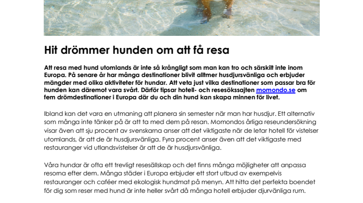 Hit drömmer hunden om att få resa