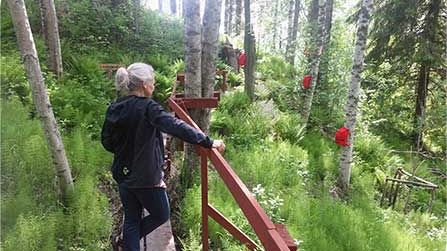 Nya delar av Arboretum Norr invigs 23 augusti