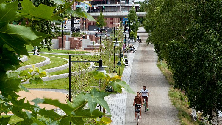 Umeå uppstickare när finalen av Europeisk miljöhuvudstad avgörs