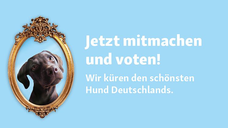 Welthundetag 2024: Fressnapf-Aktion geht in die nächste Runde!