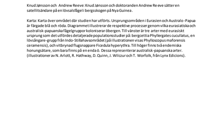 Bildtexter Fåglars ursprung styr hur bergstoppar koloniseras.pdf