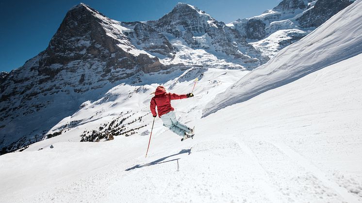 Kleine Scheidegg