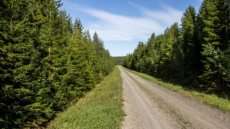 Kapitaltillskott för IsoTimbers fortsatta tillväxt