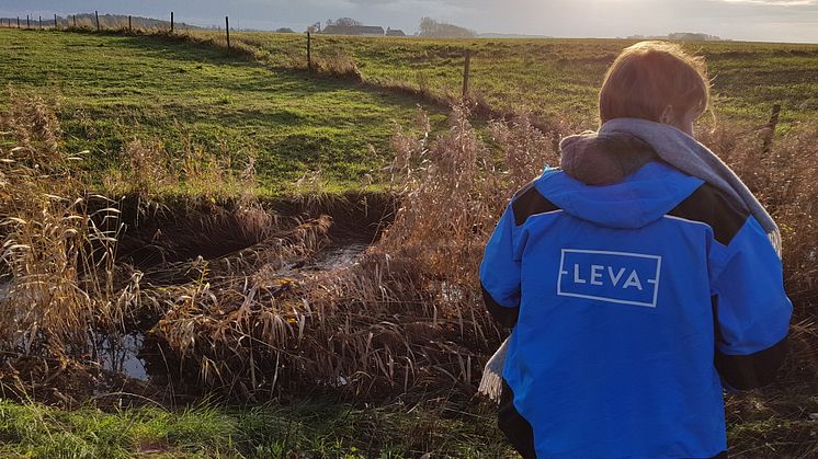 LEVA foto Maria Fermvik