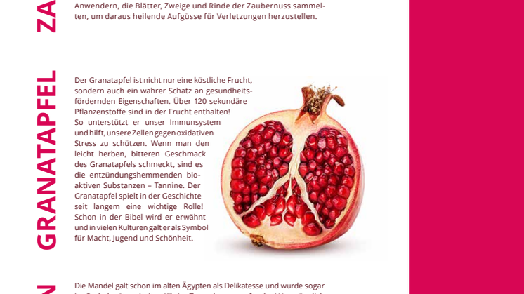 Zwei Nüsse und ein Paradiesapfel für sanfte Haut