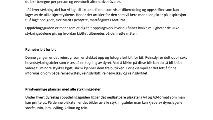 Matnyttig stykningsguide på nett