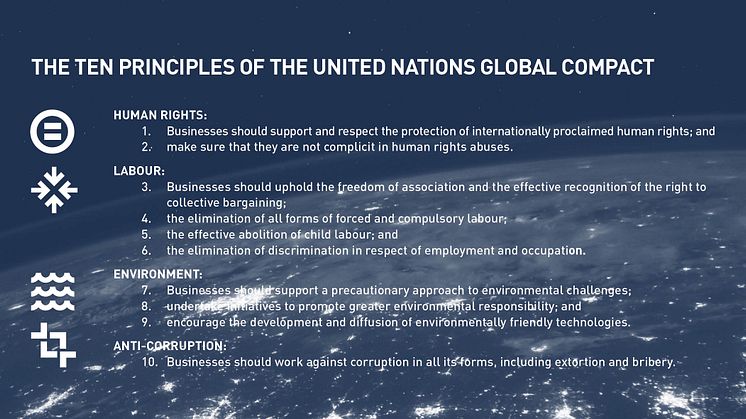 10 Principles for a strong and sustainable World_United Nations Global Compact_Eleiko.jpg