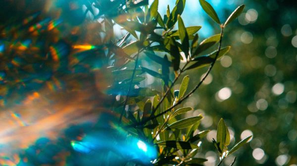 Bild: Tyler Casey, Unsplash.