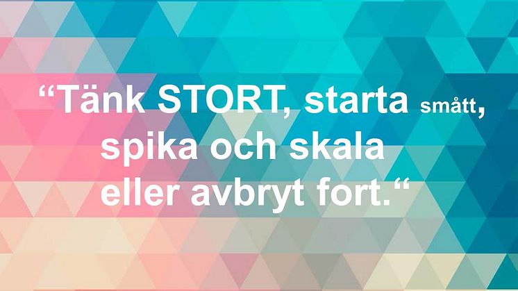 En tillbakablick på Inkubatorns verksamhetsår 2013