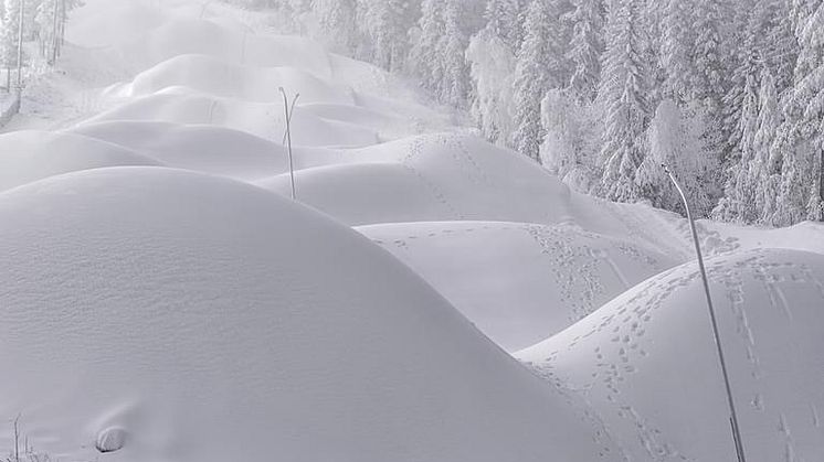 Snöläggning Björnrike