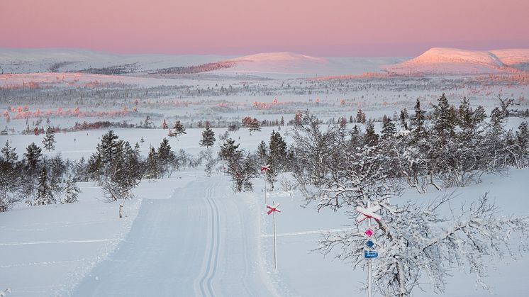 Lofsdalen utsedd till Bästa Fjälldestination 
