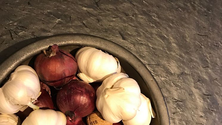 Nordskiffer skifferplattor Otta Pillarguri på  golv och som stenbänkskiva