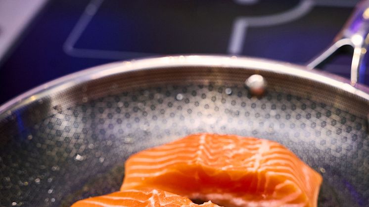 09 Fjort trout.jpg