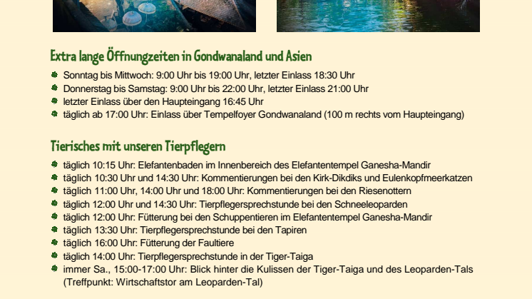 Programm Magisches Tropenleuchten Zoo Leipzig
