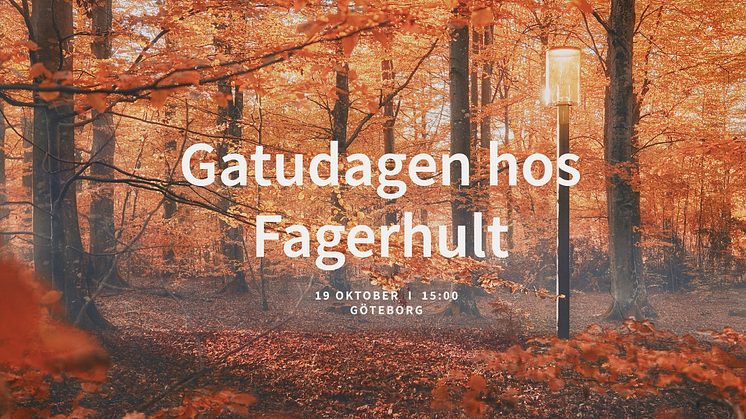 Gatudagen hos Fagerhult