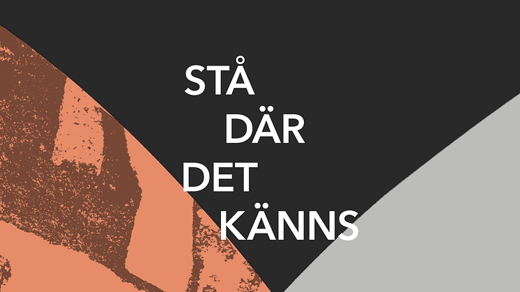 SDDK_BANNER_MED RUBRIK