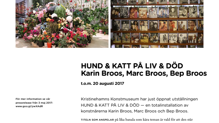 Hund & katt på liv & död – se intervjun med Karin Broos i TV4 Nyhetsmorgon!