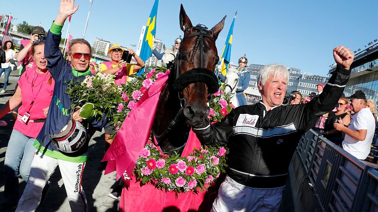 Ringostarr Treb vann både Olympiatravet och Elitloppet 2018. Foto: Micke Gustafsson TR/Bild