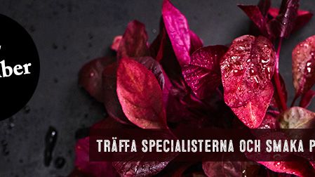 Martin & Servera samlar Norrlands gastronomi
