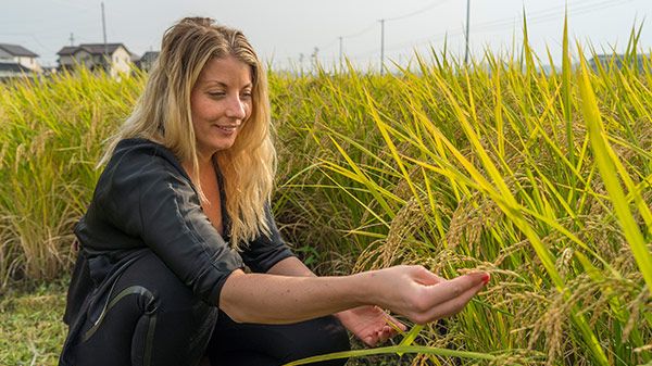 Stjärnkocken Frida Ronge, ambassadör för Yaxell, på plats i Japan