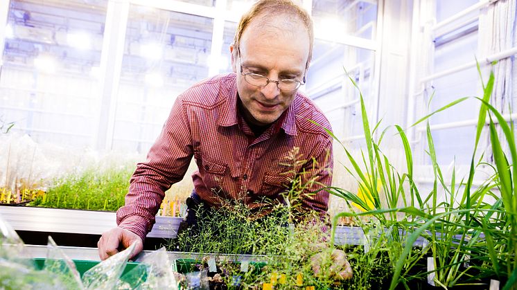 Lars Hennig får drygt 28 miljoner från Wallenbergstiftelse
