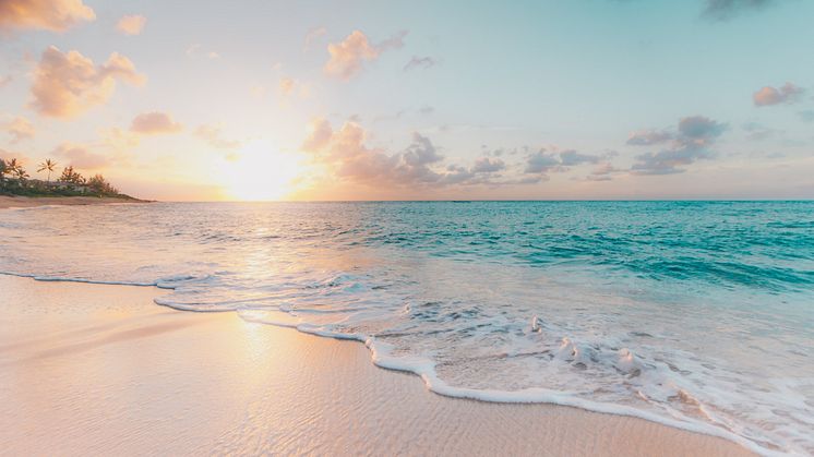 Foto von Sean Oulashin auf Unsplash