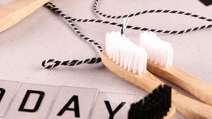 Humble Brush miljø 2