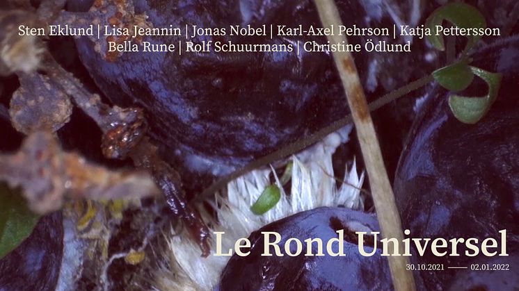 Le Rond Universel_stor