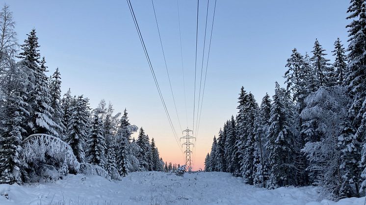 En mer uforutsigbar fremtid
