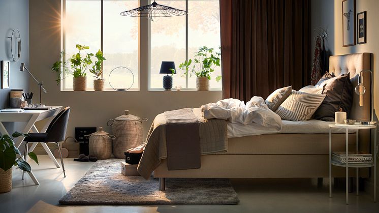Siesta