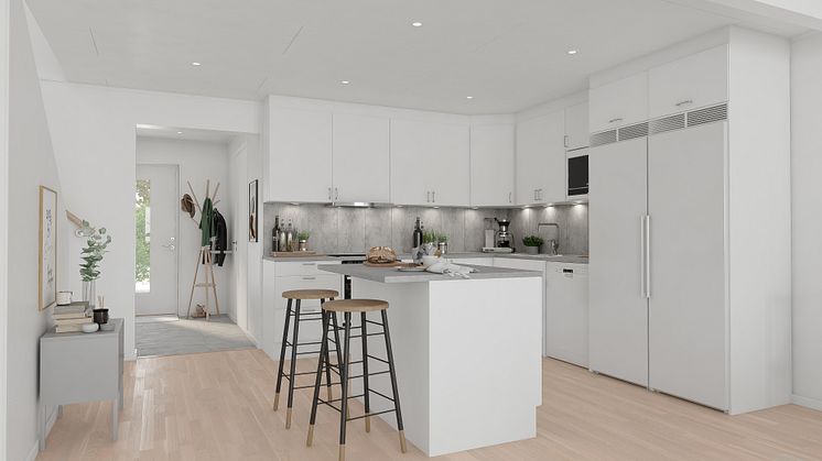 Brf Skogshem - 3D-bild av kök